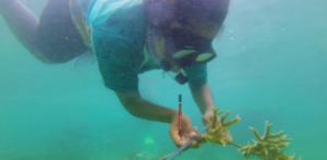 resilient communities nbs annual report